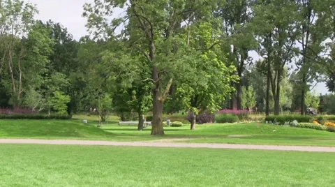 Park in Holland Stock Footage 29229959