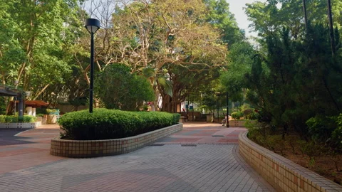Park of Hong Kong Stock Footage 288319574