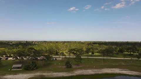 Park Horizon Trees Sunset Forrest Dolly In Video stock 245387364