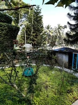 Park inside green rose tree and another tree. Stock Photos
