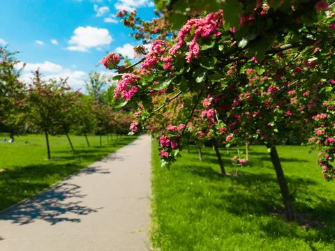 Park Jana Kasprowicza.Poznan Stock Photos