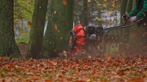Park Janitor Using Industrial Leaf Blower on Lawn Covered in Autumn Leaves Stock Footage 223999800