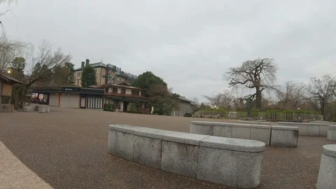 Park in japan Stock Footage 128753713