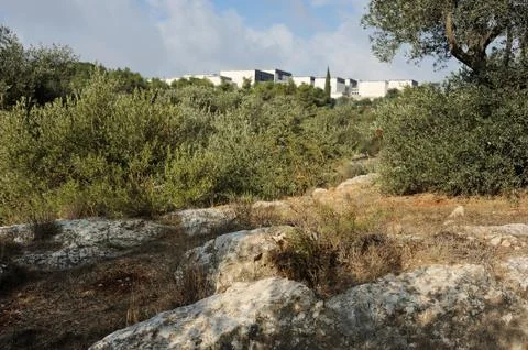 Park in Jerusalem Stock Photos
