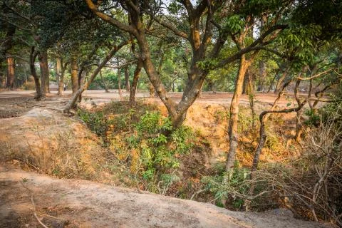 Park in Kathmandu Stock Photos