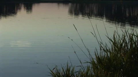 Park Lake 7 스톡 동영상 790603