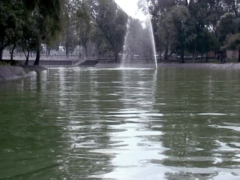 Park Lake Stock Footage 490139