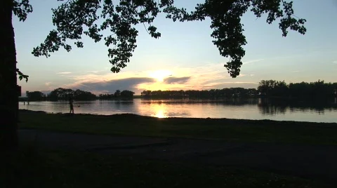 Park Lake 스톡 동영상 790661