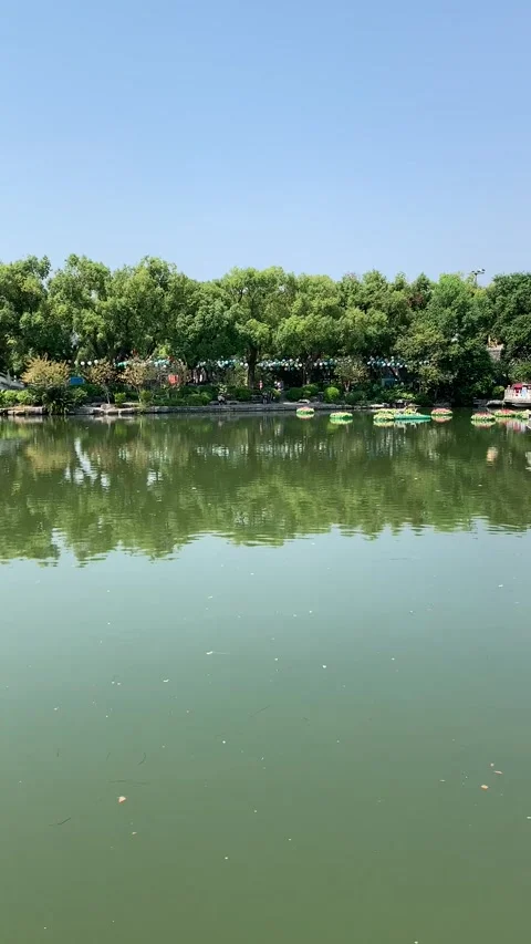Park lake in Guilin Stock Footage 341276497
