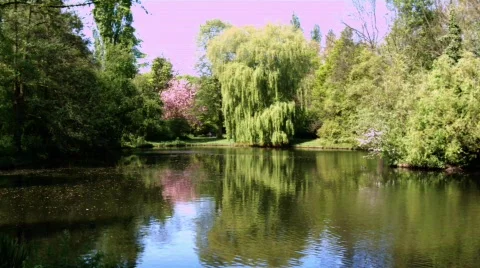 Park lake HD Stock Footage 521960