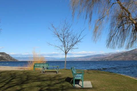 Park by the lake in spring Stock Photos