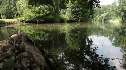 Park Lake in Summer 2 Stock Footage 24888497