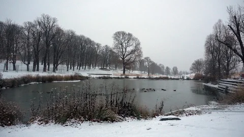 Park lake in winter Stock Footage 100402379