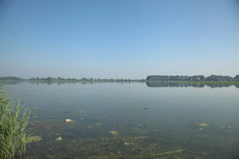 Park by the lakeshore Stock Photos
