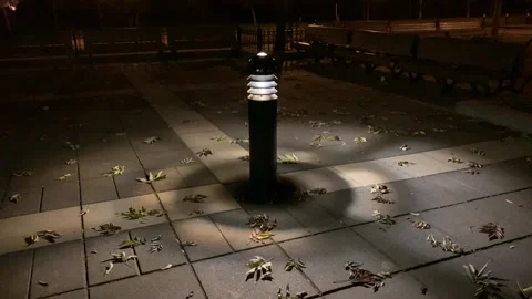 Park Lamp with Light Wind Blowing Dead Leaves on the Ground Stock Footage 139761740
