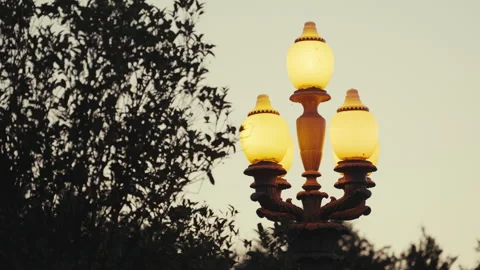 Park Lamp at Sunset Stock Footage 316919644