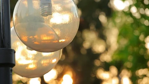 Park lamp sunset tree background hd footage nobody Stock Footage 107612781