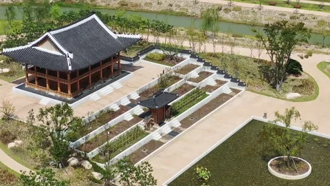 A park landscape, drone shot Stock-Footage 310079904