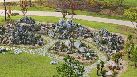 A park landscape, drone shot Video stock 310079905