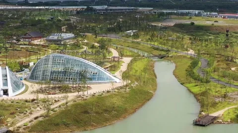 A park landscape, drone shot Video stock 310079907