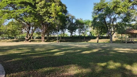 Park Landscape Stock Footage 324561321