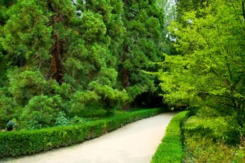 Park landscape Foto stock