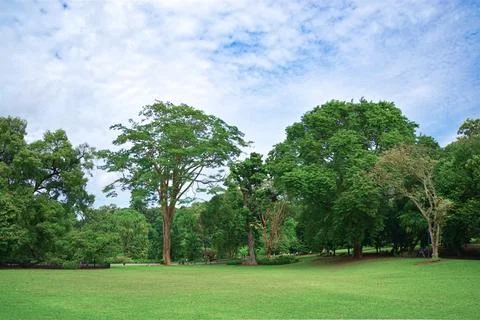 Park landscape Stock Photos