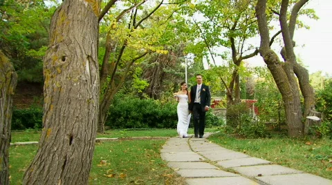 Park lane Stock Footage 644082