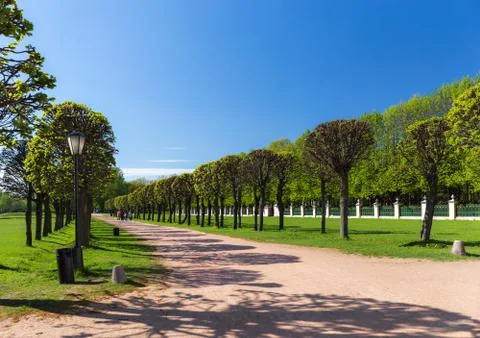 Park lane Stock Photos