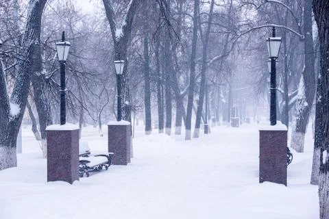 Park with lanterns in the winter Stock Photos