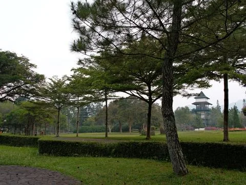 A park with a large tree in the middle and a small building in the background Fotos de archivo