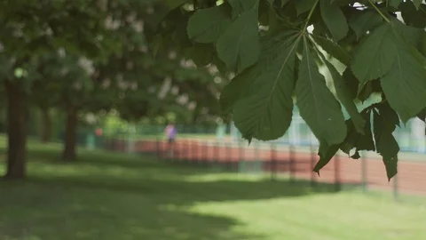 PARK LIFE Stock Footage 93202788