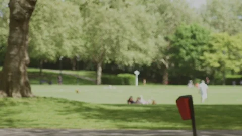 PARK LIFE Stock Footage 93202822