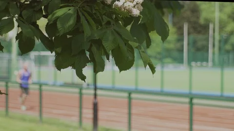 PARK LIFE Stock-Footage 93202851
