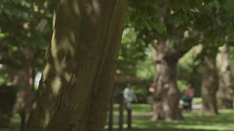 PARK LIFE Stock Footage 93202878