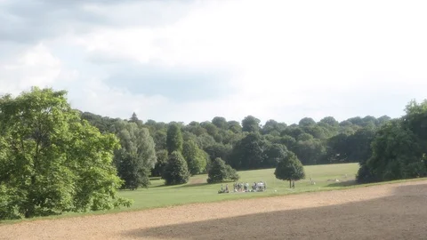 Park life at summer Video stock 126720177
