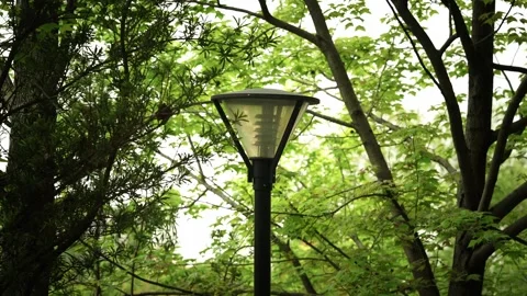 Park Lights during the day Stock Footage 332681649