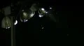 park lights with insects flying - bat eats insects -720p HD Footage