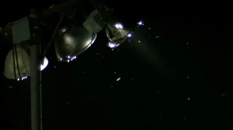 Park lights with insects flying - bat eats insects -720p Stock Footage 8967972