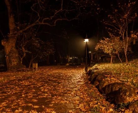 Park lights in the night Stockfoto's