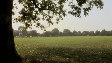 Park in London Stock Footage 41796385