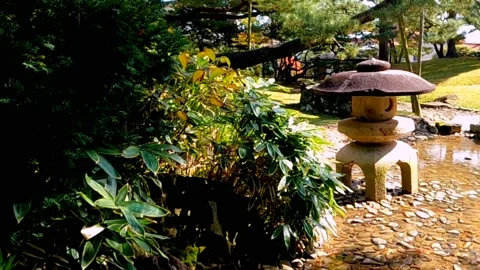 Park with lots of trees with fish ponds Stock Footage 234447122