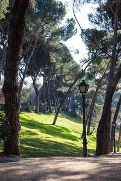 In the park of Madrid Stock Photos