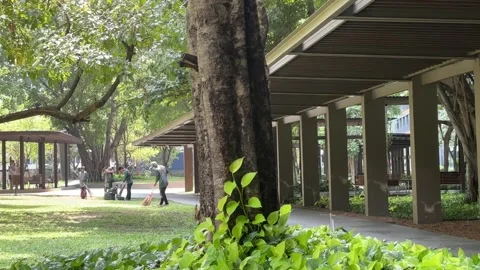Park Maintenance Workers in Thailand Stock Footage 342471004