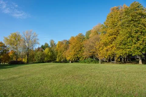 Park meadow in fall Stock Photos