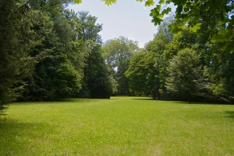 Park meadow Foto stock