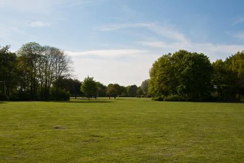 Park meadow Stock Photos