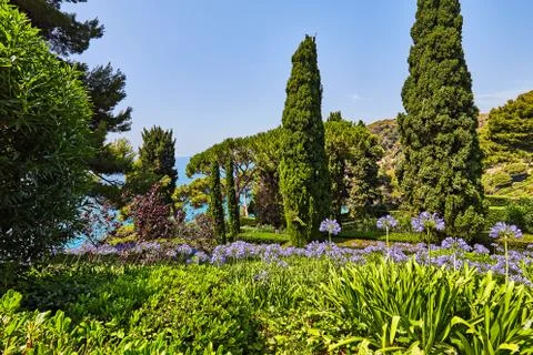 The park on the Mediterranean coast in Spain Stock Photos
