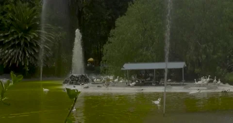 Park in Mexico city  Stock Footage 204830541