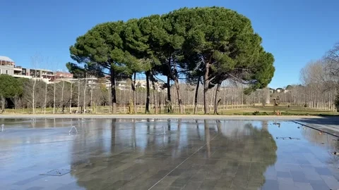 Park in Montpellier Vídeo Stock 347413553